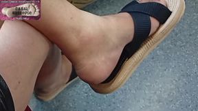 PUBLIC TRANSPORT 13