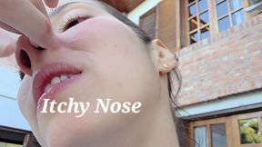 Itchy & Picking Nose Express