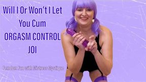 Will I Or Won't I Let You Cum ORGASM CONTROL JOI - HD WMV