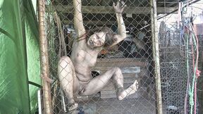 Wild Beast