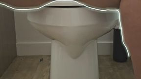 Madam Ayanna presents: Human Toilet Series