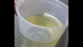 O que faria?