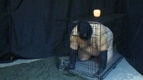 beast caged