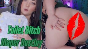 Toilet Bitch Diaper Destiny - MP4