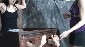 Tickle shorts 269-1080 WMV