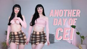 Gay Denial to Gay Reality (WMV HD)