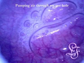 I really love taking a look into my deepest insides!