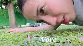 Tiny girl devoured in the garden