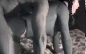 vid