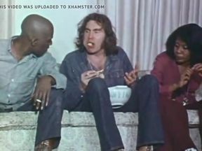 Night Of The Animals