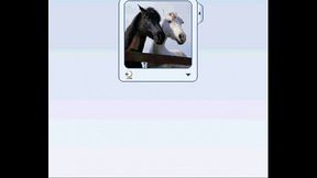 04-07-2010 03-38-55 p.m.