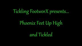 Phoenix Feet Up High and Tickled