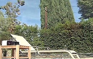 Priya rai busty slut getting fucked by a massice cock