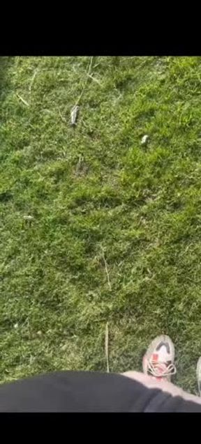 Una mañana subida de tono