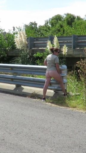 Patricia on the bridge over the road   Clip 1