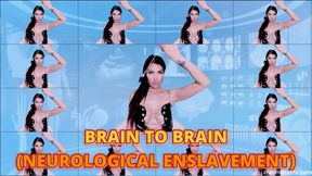 BRAIN TO BRAIN (NEUROLOGICAL ENSLAVEMENT)
