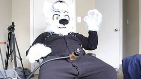 Fursuit Cock Milking with the Venus Milking Machine