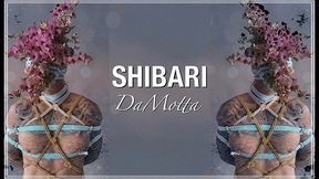 shibari da motta