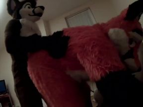 Fursuit sex 122