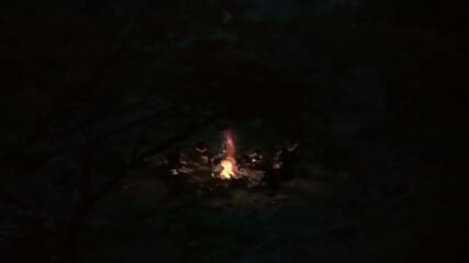 Pagan forest 6 PMV Novaphanion