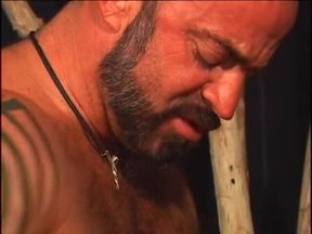 Nasty bears ass fucking and dick sucking passionately