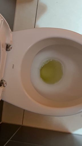 Horny man piss in the public toilet of shopping mall and play with dick 4K   Clip 1
