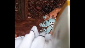 aninha mama na escola em casa levo no cusinho ( sex toy )