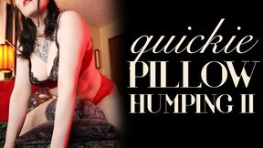 Quickie Pillow Humping II