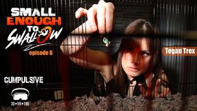 VR 180 3D Small Enough to Swallow Episode 6