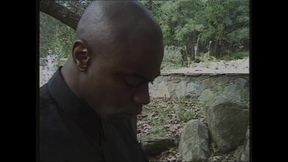 The Black of the Forest
