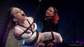 Electro slut Daisy Ducati is fisting pussy of tied up and suspended whore