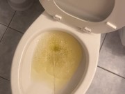Cub takes midnight piss