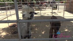 Atk Girlfriends And Breezy Bri - Farm Date 1