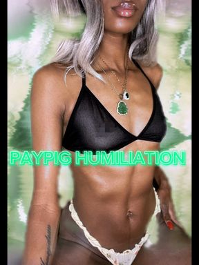 PAYPIG HUMILIATION