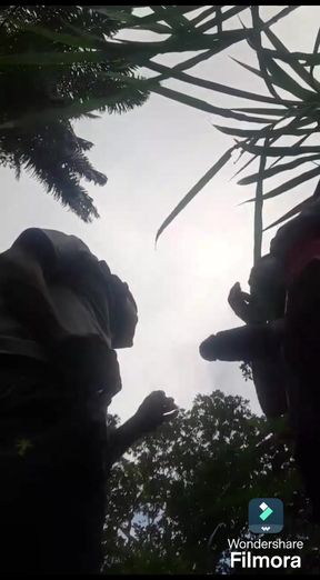 Thrilling moment from "in the bush with my boyfriend"