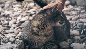 Raffi and Beno Fill Eker's Pucker with Cum
