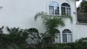 Gier eskaliert wenn alle Sicherungen durchbrennen bis alles