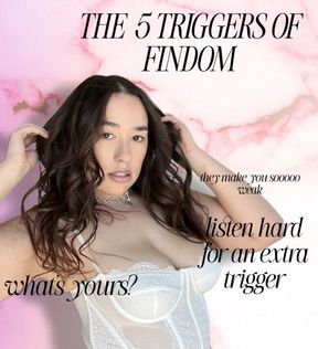 THE 5 TRIGGERS OF FINDOM