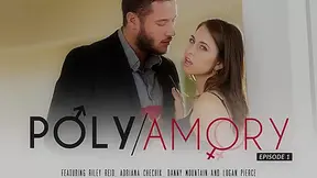 Riley Reid & Adriana Chechik & Danny Mountain & Logan Pierce in Polyamory, 1 Video