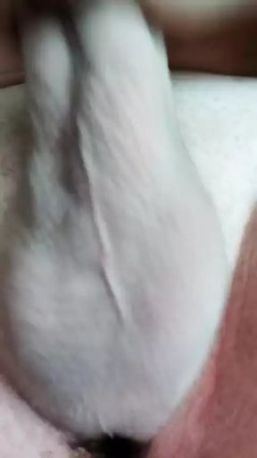 Dick