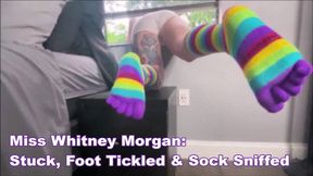 Miss Whitney Morgan: Stuck, Foot Tickled, Sock Sniffed - mp4