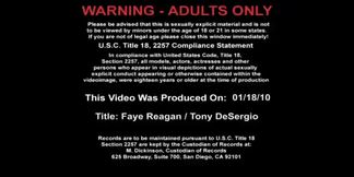 Faye Reagan fucking in the couch with her natural tits