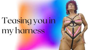 Teasing you on my harness