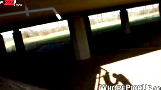 Redheaded Vixen Gives Road Head in Car - PornPros