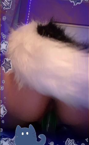 Cat filter on face
