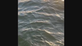 7 minutes of Relaxation Golden Sunset Barefoot Splashing