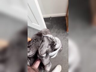 Chinchilla yiff coat