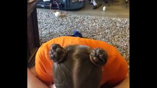 Интенсивное оральное выступление Velma косплей-девушки