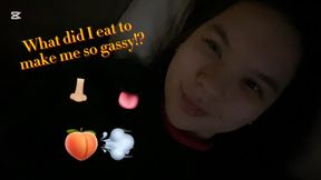Go ahead and guess what I ate to make so so gassy over the course of 24 HOURS