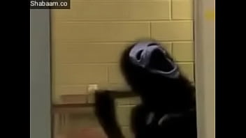 Deu tanto que cagou-se